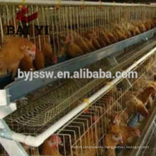 Day Old Chick Cage For Chicken Egg Poultry Farm